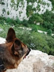 lotte at gorges