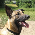 sanne 2004