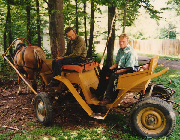 horse driven carriage, bialowieza