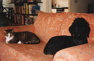 ed and folly