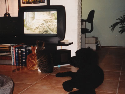 watching tv