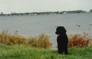veerse meer