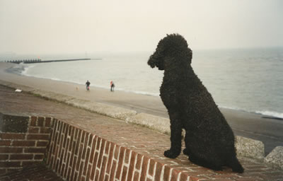 overlooking beach at vlissingen