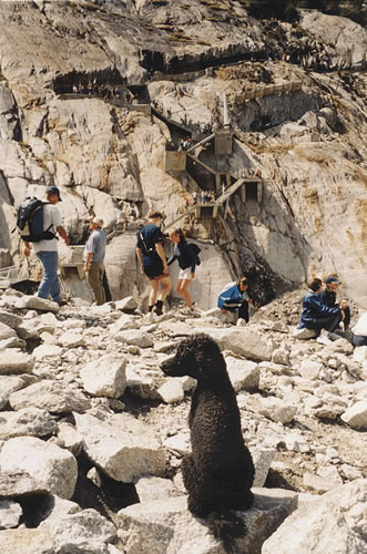 mer de glace