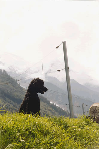 mont blanc