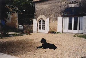 same ground: simon's house