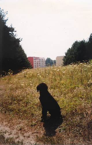 bialystok near cezar's house