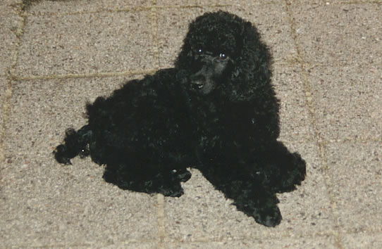 folly 2 months old