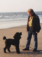 2001 noordwijk beach