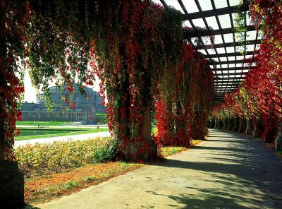 gardens at ludowa