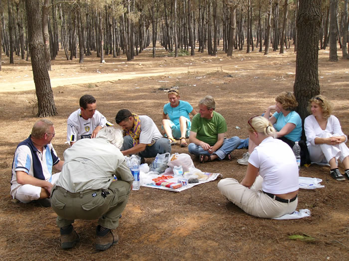 picknick