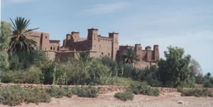 tumb Amerhidil