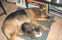 ed and lotte