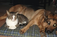 ed and lotte