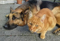 lotte and nub, 2010