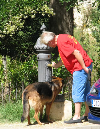 spain 2010