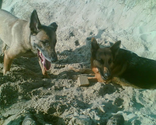sanne and lotte