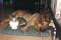 ed and lotte