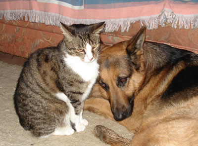 ed and lotte