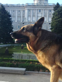 Lotte in Madrid