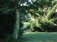 lotte in the garden at gagnieres