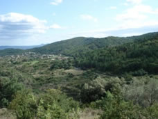 view