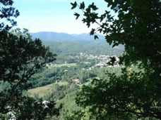 view