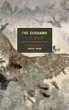 white goshawk