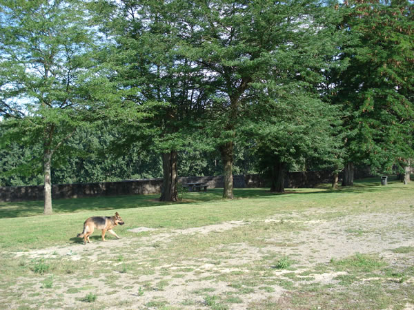 Lotte in de citadel