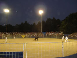 Course Landaise