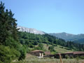 Orozko